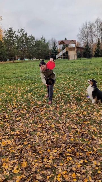 АО Барри - крест, ловля, кольцо рук, ходьба вместе и бабочка