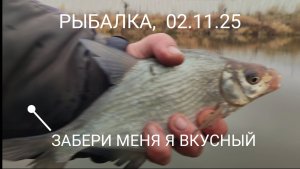 🐟 РЫБА готовится к зиме, 02.11.25.