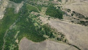 В поисках степной стоянки войска царя МИТРИДАТА.