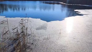 вечерний СНТ 4