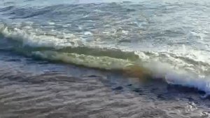 #черное море прекрасно.