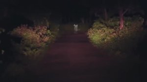 Реальные кадры. Призраки которые попали на видео. Страшно и интересно