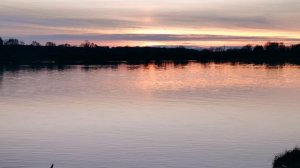 Закат 2 ноября и подружка лиса! Да , да! По городу бегает лиса!