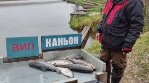 Каньон рыбалка на форель.