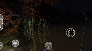 ГАЙТ ПО ФАРМУ СЕРЕБРА В КАРП ФИШИНГ СИМУЛЯТОР ДЛЯ НОВИЧКА