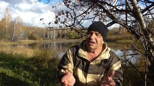 В верховье Тока осень, дивная пора