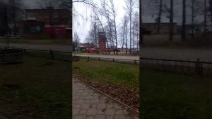 Всем отличного дня )Теплый привет подписчикам и новым зрителям )