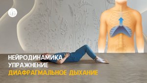Нейродинамика: упражнение диафрагмальное дыхание, уровень 1