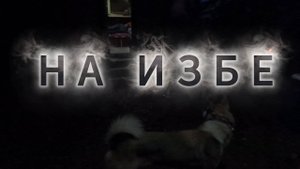 ПХД НА ИЗБЕ отнесли соль на СОЛОНЕЦ дорога домой