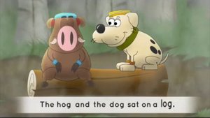 Hog and the dog