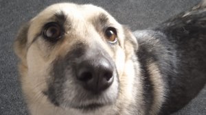 Не суди с первого взгляда...