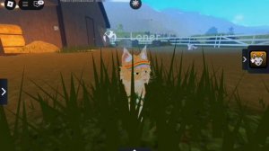 где найти все тыквы в новом обновлении? [WCUE]