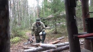 Золотой октябрь #6