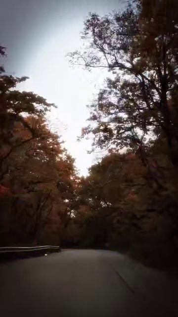 Проехал 1000 км по Приморью, чтобы найти ИДЕАЛЬНУЮ осеннюю дорогу. Результат перед вами смотреть онлайн