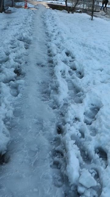 №342. ул. Газеты Звезда. 29 апреля 2025 г., 20:10:04. VID_20250429_200831309