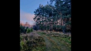 Вчера , 2 ноября был совсем не похожий на ноябрь день. 
Солнечный, теплый, яркий!
Первое это утро!