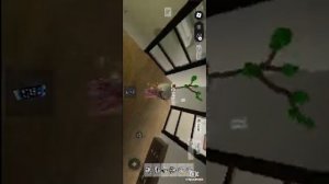 влог в бухевоне