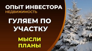 Подготовка к зиме, обзор участка