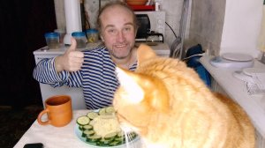 обед с Рыжулей. хикикомори бич Японии. зависимости. мукбанг. обжор. еда на камеру. диета. шизофрения