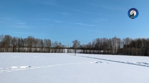 ОХОТА НА ЗАЙЦА ГЛАЗАМИ ЗАГОНЩИКА