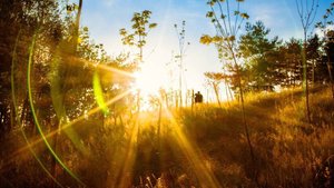 ОТРЕЗАННЫЕ ОТ ДУХОВНОГО ПЛАНА. Какие энергетические изменения происходят с человеком без его души