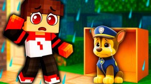 ГОНЩИКА ВЫГНАЛИ ИЗ ЩЕНЯЧЬЕГО ПАТРУЛЯ В МАЙНКРАФТЕ