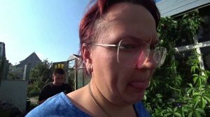 Влог от 29.08.2021