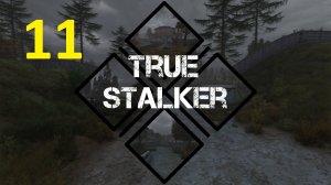 Прохождение S.T.A.L.K.E.R True Stalker. Часть 11