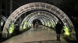 Арка_Коломенское_03-11-2025