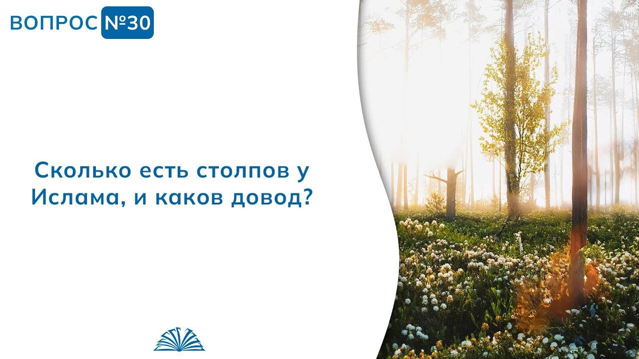 Вопрос № 30. Сколько столпов у Ислама? | Абу Яхья Крымский смотреть онлайн