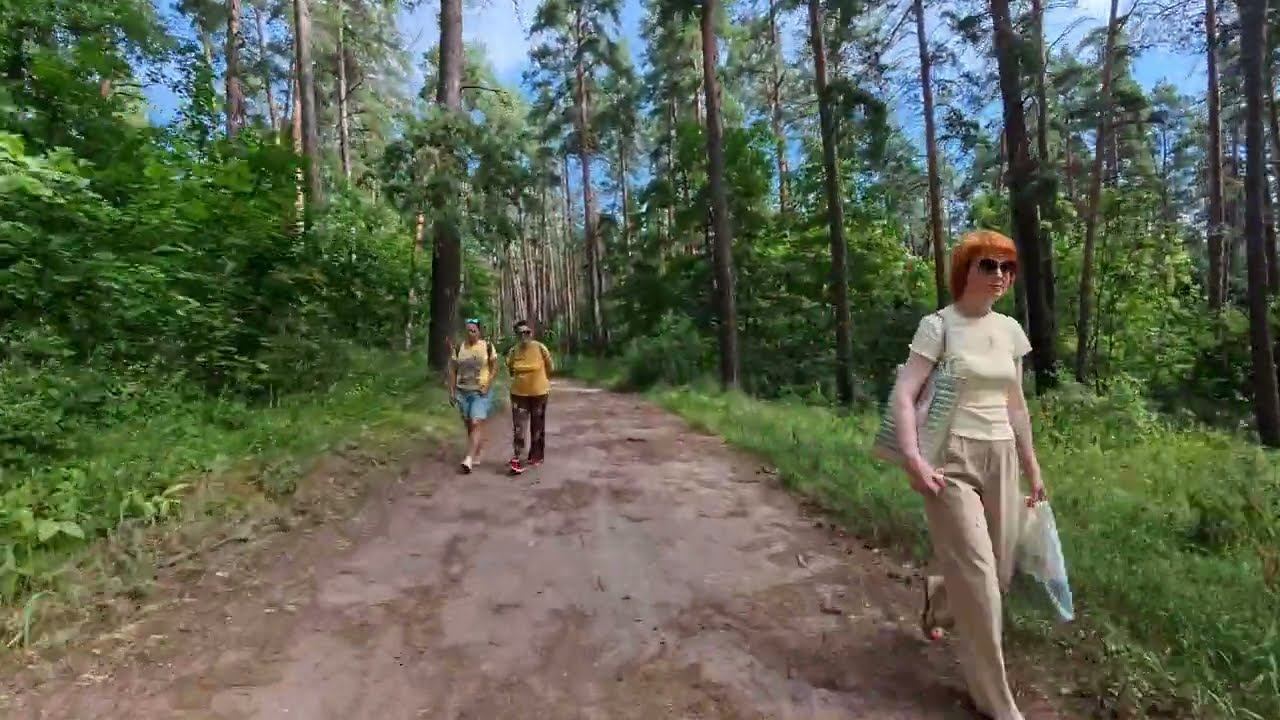 Велопрогулка по лесу