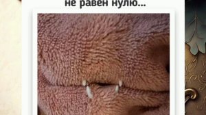 Анекдоты, приколы, юмор, статусы 🔥