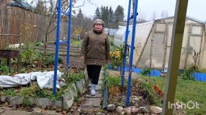 Вот и октябрь прошёл. 31.10.25.