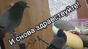 03-11-2025. И снова здравствуйте!