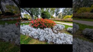 872.Все венские цветы - для вас, наши осенние именинники♥️.