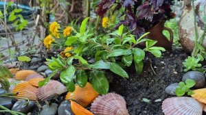 Гостевой дом "Лазурный залив". Октябрь, Осень.