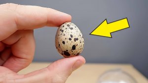 Инкубатор из Китая. Часть 2. Просветил яйца фонариком! Там что-то есть! Овоскопия. alex boyko