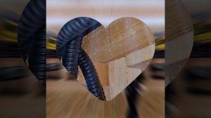 1000039041.mp4 (Собака смотрит на монтаж электропроводки (распайку р/коробок) в доме А-фрейм)