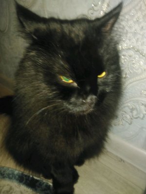 я задонил в рб 2