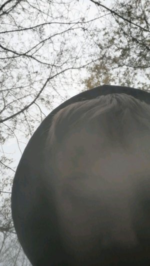 Лего бизнэс