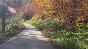 Осень в горах - Ноябрь.Роза Хутор.Красная Поляна