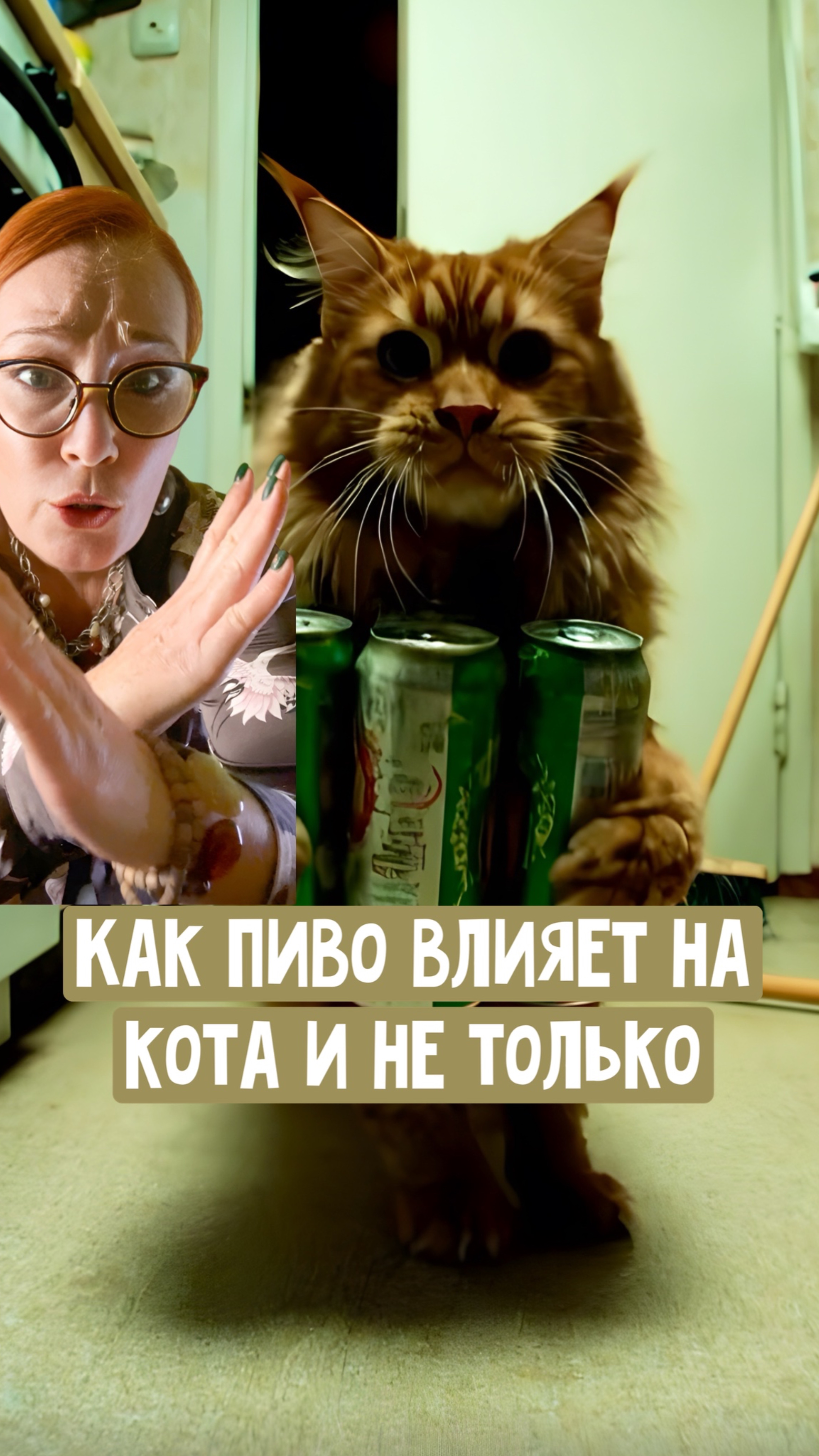 Как пиво влияет на кота и не только