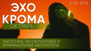 Беспилотники, рынок на Талабских островах и криминальные авторитеты / 21 – 27 октября/ Эхо крома