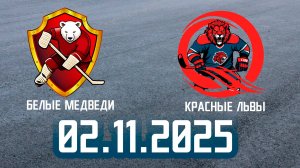 02.11.2025 Роллер хоккей #10