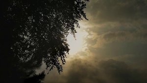 Михаил Солдатов - В коллективных снах