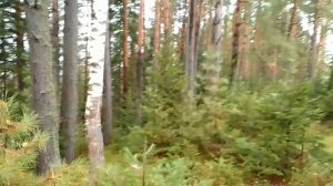 Прогноз на будущее о потеплении и  садоводстве