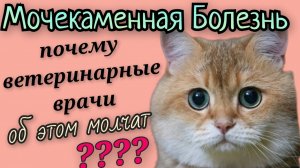 МочеКаменная болезнь к Котов. Глазами биохимии.