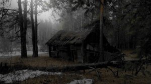 Мистика. Истории про деревню. Истории на ночь про лес.;Черногрудые-