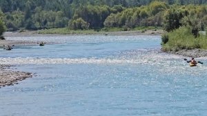 Сплав по Коксе и Катуни. 2024