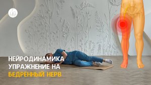 Нейродинамика: упражнение на бедренный нерв (корешки L2, L3 и L4), уровень 1